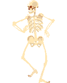 squelette dansant